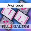 Avaforce 33